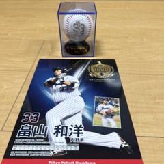 【レア】ヤクルトスワローズ　畠山和洋引退記念 ユニホーム Lサイズ 日本初の レア】ヤクルトスワローズ 畠山和洋引退記念 Lサイズ