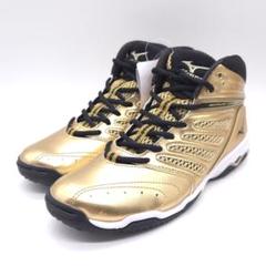 未使用 mizuno WAVE DIVERSELG 2 ミズノ ウェーブダイバー