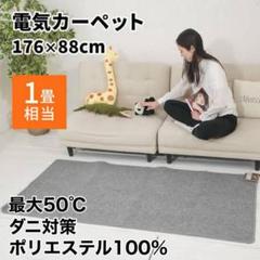 モリタ　ほかだんカーペット　2畳　CS-207H 楽天市場】モリタほかだんカーペットの通販