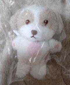 2025年最新】チャニョル ぬいぐるみの人気アイテム - メルカリ