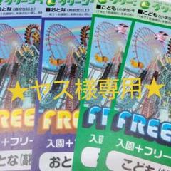 グリーンランド フリーパスの中古 未使用品 メルカリ
