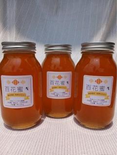 京都産！☆日本ミツバチ蜂蜜☆1200g×2 京都産！☆日本ミツバチ蜂蜜☆1200g×2