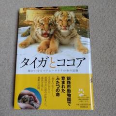 タイガとココア 障がいをもつアムールトラの命の記録　初版　帯付き Amazon.co.jp: ［新版］タイガとココア 障がいをもつアムール