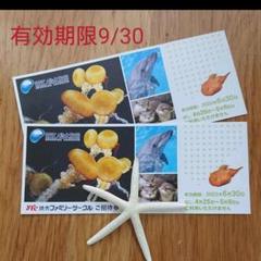 新江ノ島水族館 無料招待券
