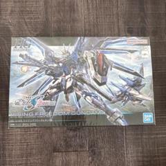 HG RISING FREEDOM GUNDAM ガンプラ 未開封のサムネイル