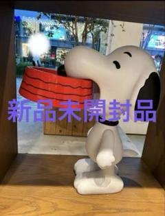 VCD SNOOPY w/Food Bowl