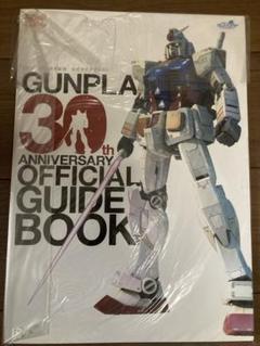 ガンプラ30周年 RG1/1ガンダムプロジェクト オープン記念 30thセット ガンプラ30周年 RG1/1ガンダムプロジェクト オープン記念 30thセット