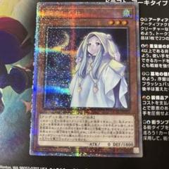 朔夜しぐれ 25th