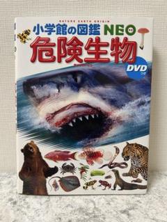 小学館の図鑑NEO 危険生物
