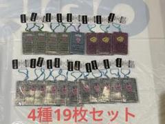 新品未使用4種19枚セット チェゴシムラメ入りアクリルキーホルダーTAITO限定