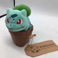 ポケモン★♥フシギダネ♥★Grassy Gardening★ぬいぐるみ 91kTBS8nzAL._UF350,350_QL50_.jpg