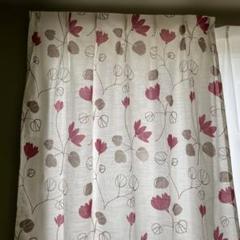 新品カーテン　100×135㌢丈　遮光無　白地　茶と赤　花柄　透感多少有　2枚入