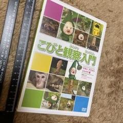 ②未使用こびとづかん DVD こびと観察入門DVD マモリ　アマクリ　シシャワ編