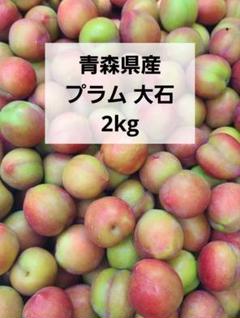 青森県産 プラム すもも 大石 8kg 箱込み ☆プラム☆大石早生☆8kg（500g×8パック×2箱）☆青森県産☆訳