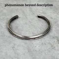 2025年最新】phenomenon beyond descriptionの人気アイテム