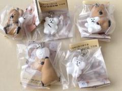 ダイノテン めじるしアクセサリー コンプリートセット