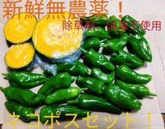 新鮮無農薬!ネコポス野菜セット!