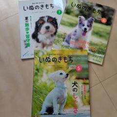 いぬのきもち 5・6・7号 セット