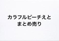 2025年最新】からぴち うり まとめ売りの人気アイテム - メルカリ