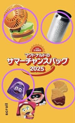 【計8点】マクドナルド サマーチャンスバッグ2025&福袋2024