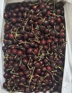 『数量限定特売』4kg 9.5rアメリカ産さくらんぼクール便コンビニ後払い不可！ 数量限定特売』4kg 9.5rアメリカ産さくらんぼクール便コンビニ