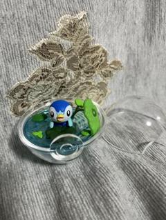 ポケモン テラリウムコレクション9 楽天市場】リーメント ポケットモンスター テラリウム
