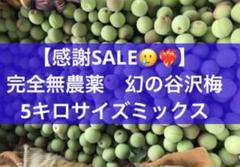 2025年最新】完全無農薬 青梅の人気アイテム - メルカリ