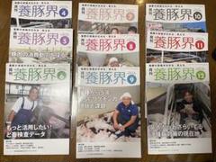 月刊養豚界 2024年4月〜2025年6月号15冊セット 養豚界 2025年 4月号 [雑誌] | 養豚界編集部 |本 | 通販 | Amazon