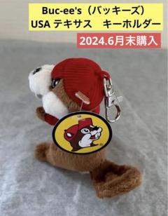 2025年最新】バッキー ぬいぐるみの人気アイテム - メルカリ