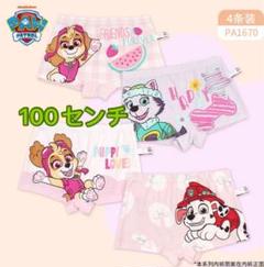 パウパトロール 下着(100cm)ボクサーパンツ