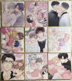 drap 25周年 色紙 ミニ色紙 ピンク BOX コンプリート 全種