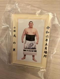 大相撲　若隆景　優勝額風アクリルバッジ　クレーン　相撲　ガチャ 大相撲 若隆景 優勝額風アクリルバッジ クレーン 相撲 ガチャ