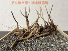 ブランチウッド　流木　アクアリウム(12107)沈水確認済 RR-332 流木 ブランチウッド アクアリウム 沈水確認済 - メルカリ