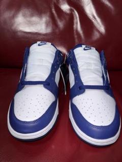 Nike Dunk Low Retro(DV0833-401) 29cm