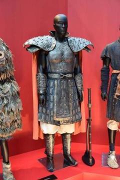 2025年最新】王騎 コスプレの人気アイテム - メルカリ