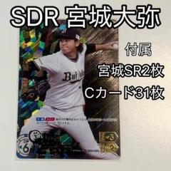 2025年最新】sdr ドリームオーダーの人気アイテム - メルカリ