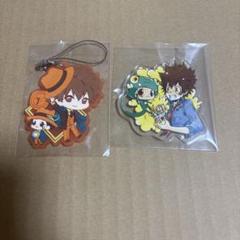 家庭教師ヒットマンREBORN リボーン 沢田綱吉 天野明展 アクリルバッジ