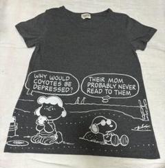 ピーナッツ　公式　半袖　Tシャツ スヌーピー　Mサイズ グレー