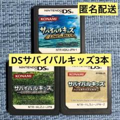 ねる様 DS サバイバルキッズ 3本セット ソフトのみ