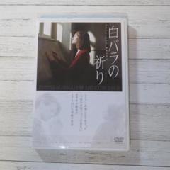 【廃盤・未開封】白バラの祈り-ゾフィー・ショル,最期の日々-('05独) 2025年最新】白バラの祈り -ゾフィー・ショル、最期の日々- [DVD