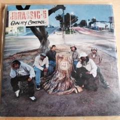 JURASSIC 5 LP+9シングルレコードまとめ売りセット【訳あり】 JURASSIC 5 LP+9シングルレコードまとめ売りセット【訳あり】