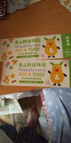 東山動物園チケット