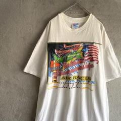 【激レア】90s USA製 ヴィンテージTシャツ エアレース シングルステッチ