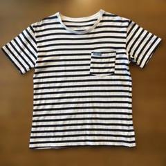 BLUE BLUE フルーツオブザルーム　ボーダーTシャツ メンズS