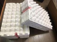 紙製 卵パック 卵トレー 50枚