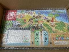 Nintendo Switch あつまれ どうぶつの森セット 新品 未使用