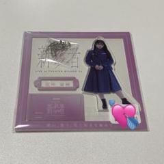 向井純葉 アクリルスタンド アクスタ 三期生おもてなし会 お見立て会 向井純葉 新参者 アクリルスタンド - メルカリ