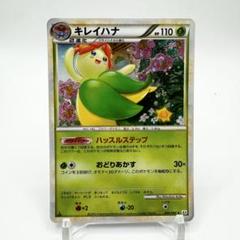 キレイハナ レジェンド