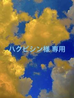 ⭐️超級・玄関映え浄化‼︎⭐️】茶色 マダガスカル産 巨大