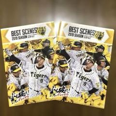 〚非売品〛阪神タイガース　2014年シーズン記念クリアファイル 35590_06_pdm.jpg